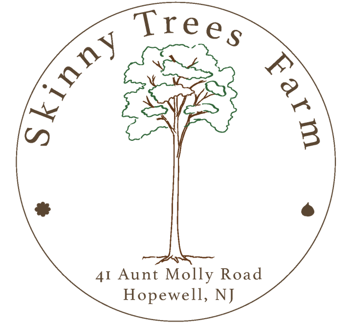 Skinny Trees Farm — a tall skinny tree, 41 Aunt Molly Road, Hopewell, NJ